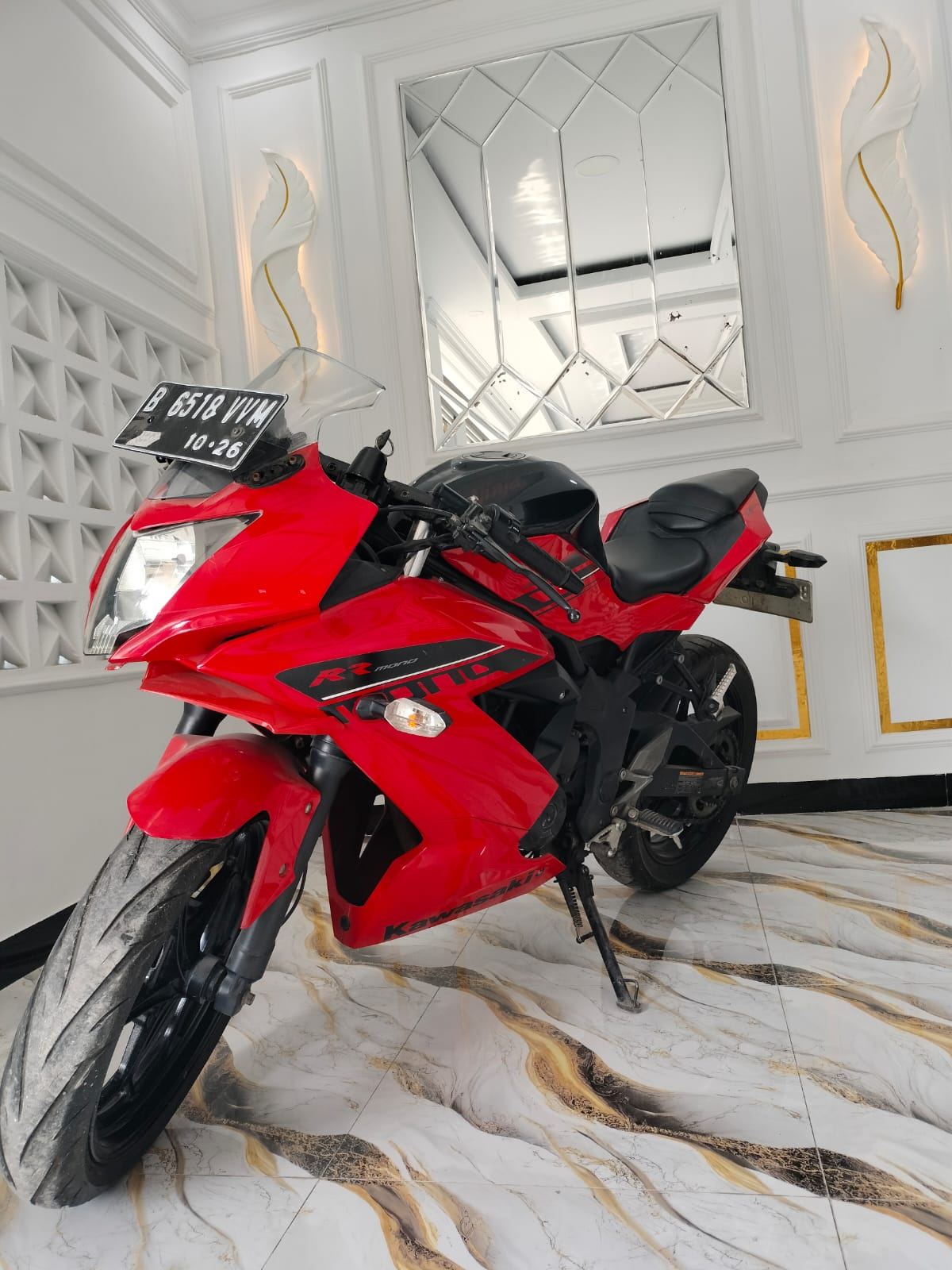 Kawasaki Ninja RR Mono / Ninja 250SL